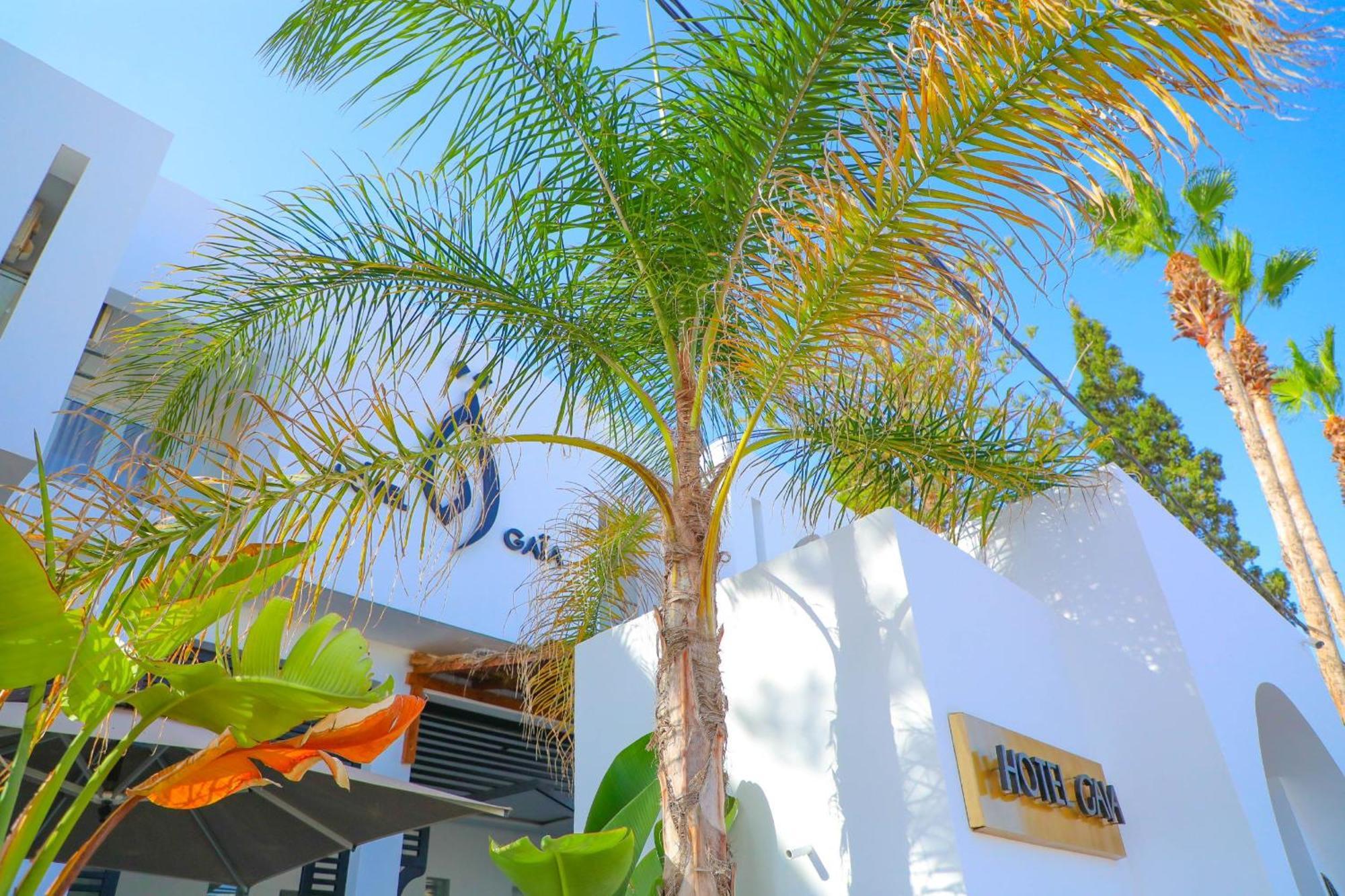 نزل قايا Hotel Gaia Nabeul Exterior foto